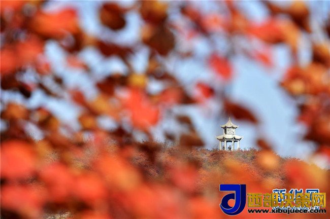 1509066945140640.jpg 2.jpg