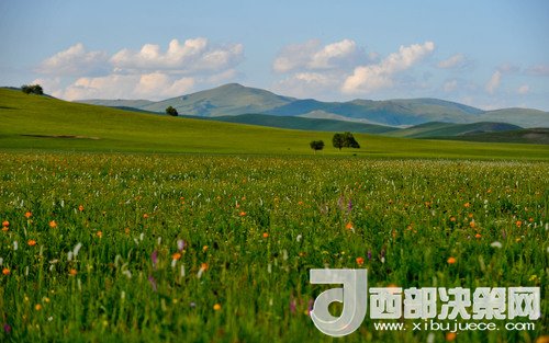 錫林郭勒草原。吳勇攝
