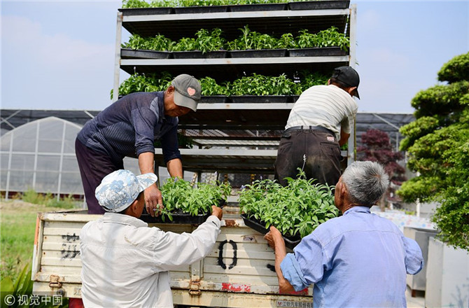 數(shù)字經(jīng)濟(jì)已經(jīng)成為我國(guó)經(jīng)濟(jì)社會(huì)更好發(fā)展的重要推動(dòng)力，也為我國(guó)鄉(xiāng)村發(fā)展提供了新的歷史機(jī)遇。（圖片來(lái)源：視覺(jué)中國(guó)）