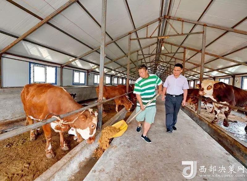 點(diǎn)擊進(jìn)入下一頁(yè)