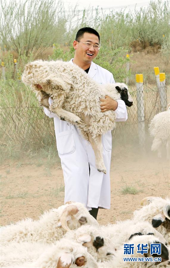 （壯麗70年·奮斗新時代——共和國發(fā)展成就巡禮·圖文互動）（3）生態(tài)美、百姓富——品讀嶄新“寧夏畫卷”