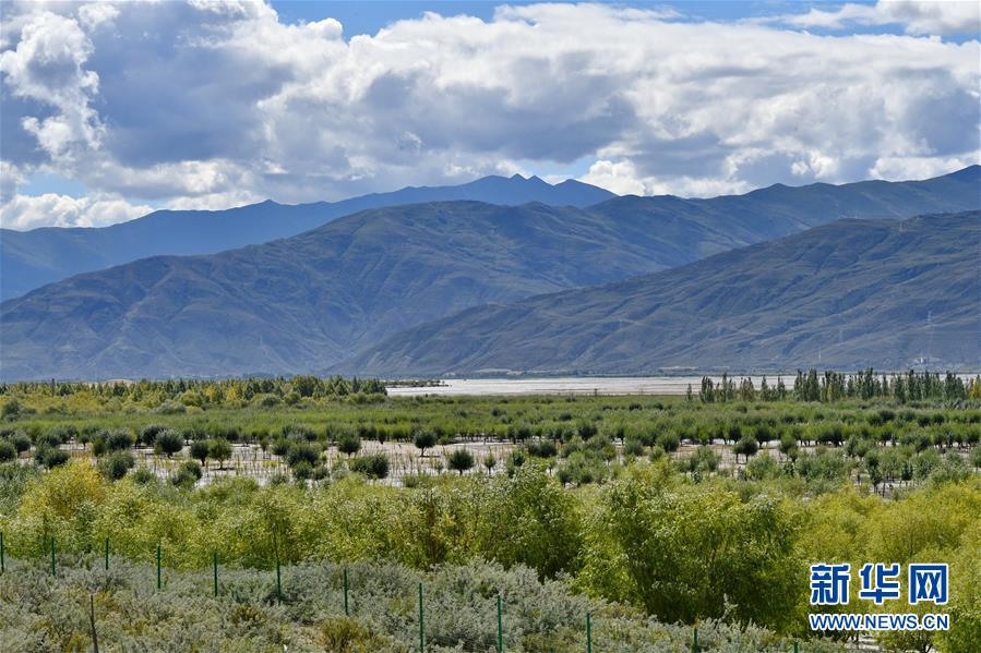 （圖文互動）（4）“今天的生活，就像夢里夢到那樣甜”——寫在西藏百萬農奴解放61周年之際