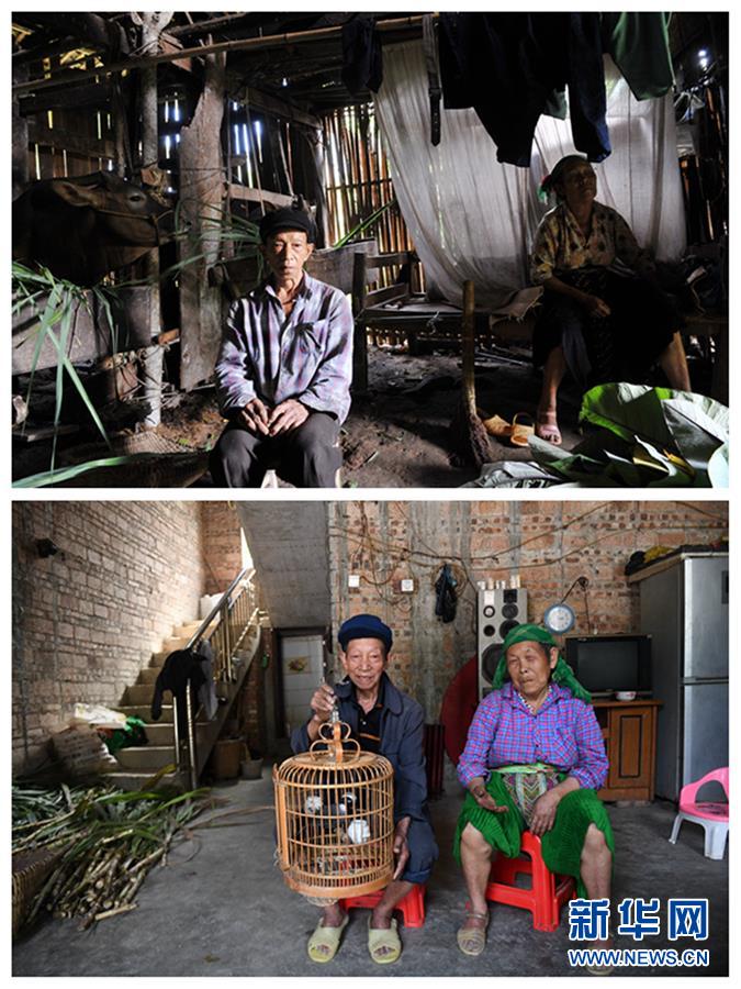 (新華全媒頭條·圖文互動)(4)木棉花開紅勝火——廣西千里邊境線脫貧紀實