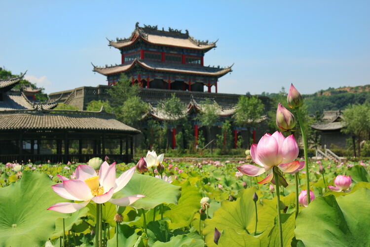 【云游渭南】心中若有桃花源，此處便是水云間！待疫情散盡，一起來(lái)渭南桃花源賞美景、觀民俗、享美食_fororder_2